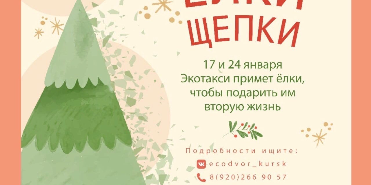 Волонтеры заберут у курян новогодние елки