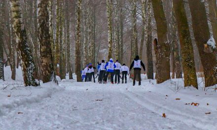 Первенство по лыжным гонкам среди допризывной молодежи г.Курска