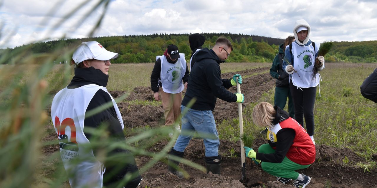 Сотрудники Дворца молодежи традиционно присоседились к акции «Сад памяти», которая прошла сегодня в Фатежском районе