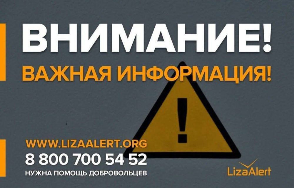 «Лиза Алерт» закрыли информацию о людях, разыскиваемых в приграничных районах
