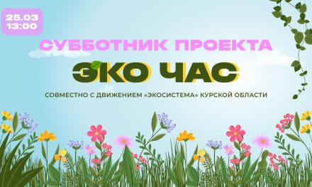 Объявляется крутой субботник проекта «ЭКО-ЧАС» вместе с движением «Экосистема» Курская область