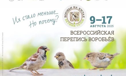 ВСЕРОССИЙСКАЯ ПЕРЕПИСЬ ВОРОБЬЁВ
