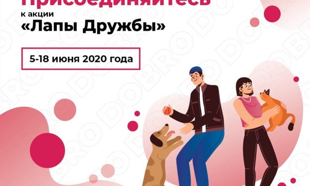 «Лапы дружбы»