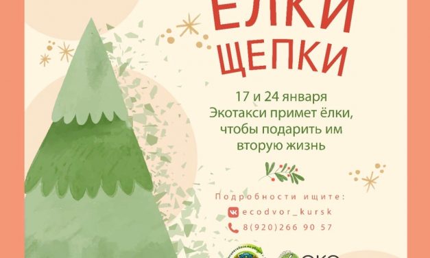 Волонтеры заберут у курян новогодние елки