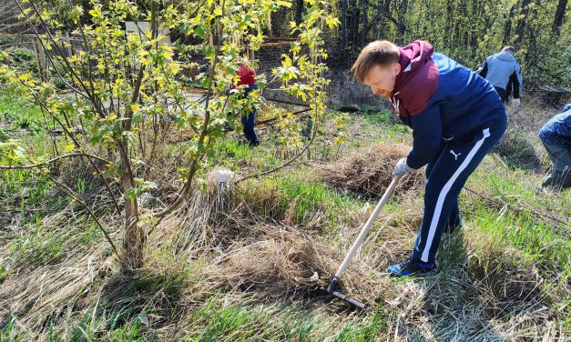 Сотрудники Дворца молодежи поучаствовали в общегородском субботнике