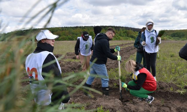 Сотрудники Дворца молодежи традиционно присоседились к акции «Сад памяти», которая прошла сегодня в Фатежском районе