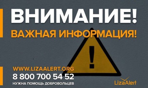 «Лиза Алерт» закрыли информацию о людях, разыскиваемых в приграничных районах
