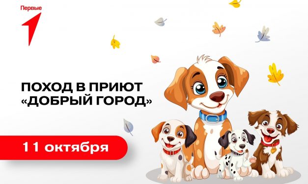 Первые Курска приглашают всех желающих посетить приют «Добрый город»