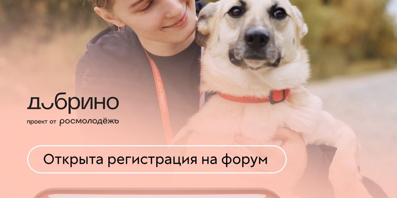 1 форум. 3 смены. Сотни смыслов. Ваш июль в «Добрино»