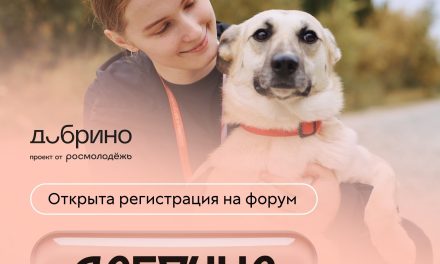 1 форум. 3 смены. Сотни смыслов. Ваш июль в «Добрино»